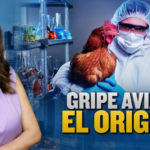 El origen de la gripe aviar H5N2 ¿Que hay detrás? | Al Descubierto