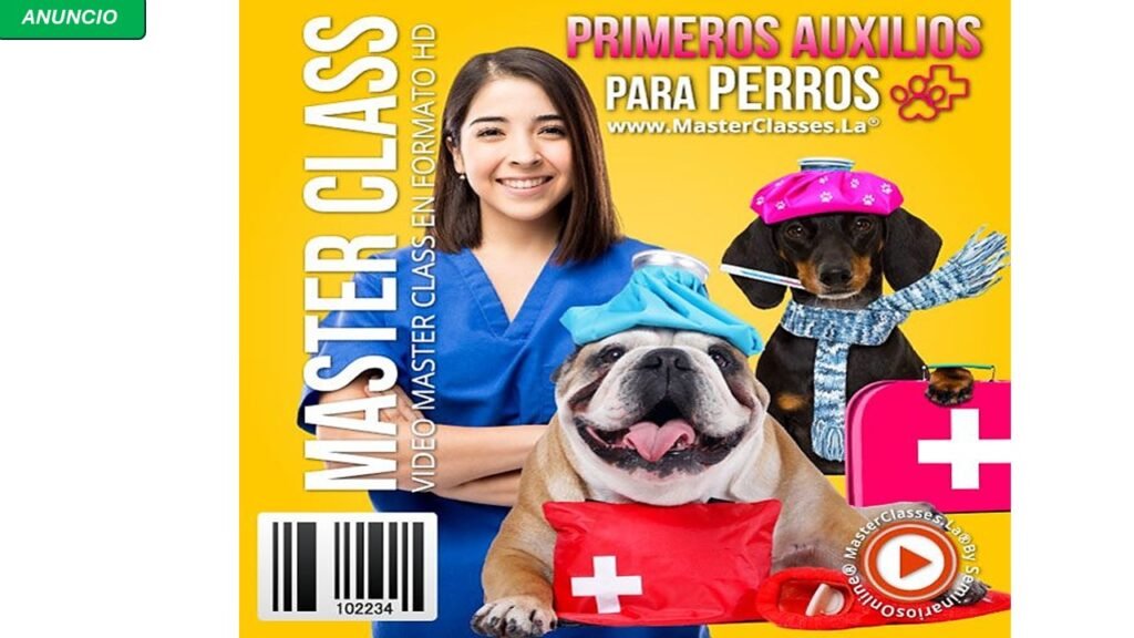 curso-primeros-auxilios-para-perros