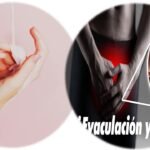 eyaculacion-y-cancer