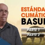 estandares-climaticos-basura