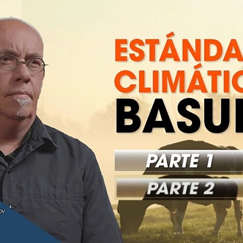 estandares-climaticos-basura